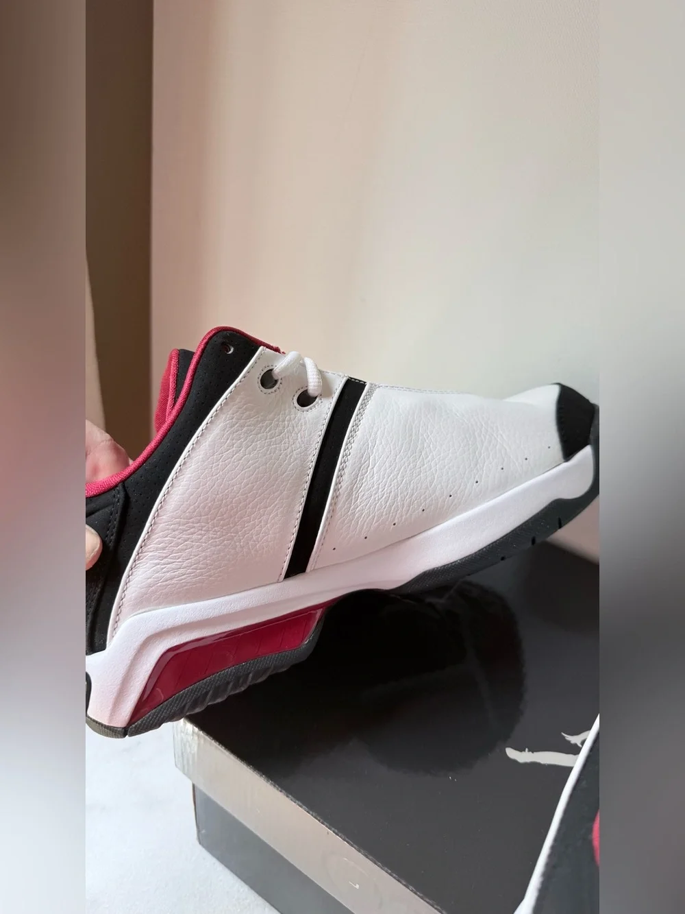 Nike Jordan Team Reign Low sneakers in a white, black, and red colorway,
